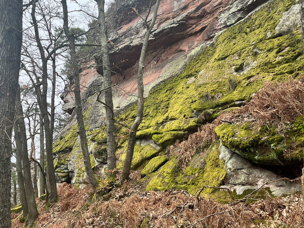 24-03-01 11-23-01 8858